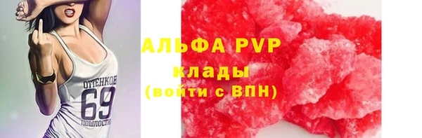 ПСИЛОЦИБИНОВЫЕ ГРИБЫ Нея