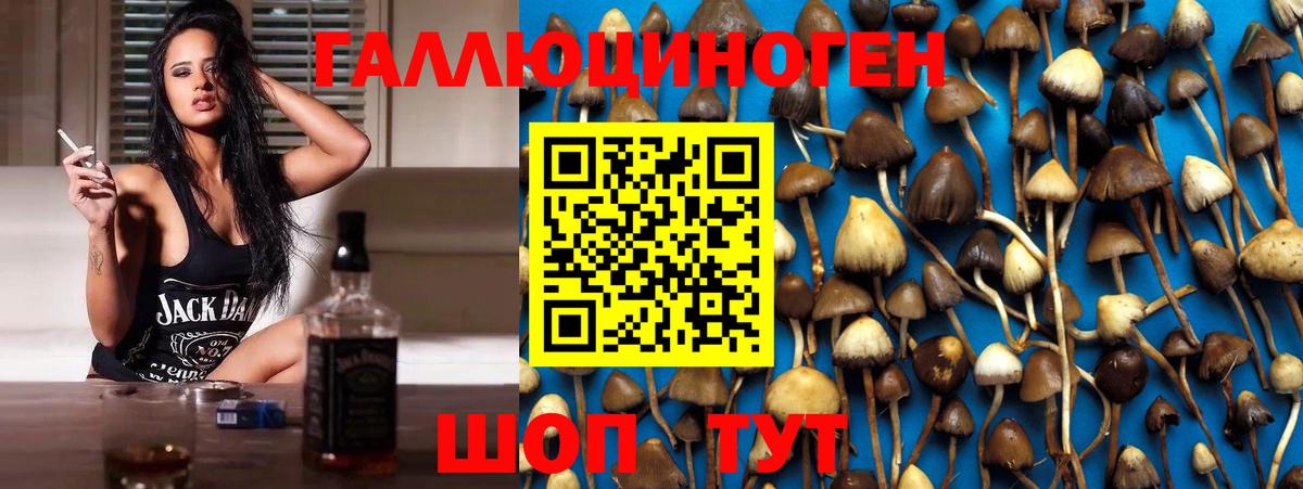 Псилоцибиновые грибы Magic Shrooms  закладка  Воронеж 