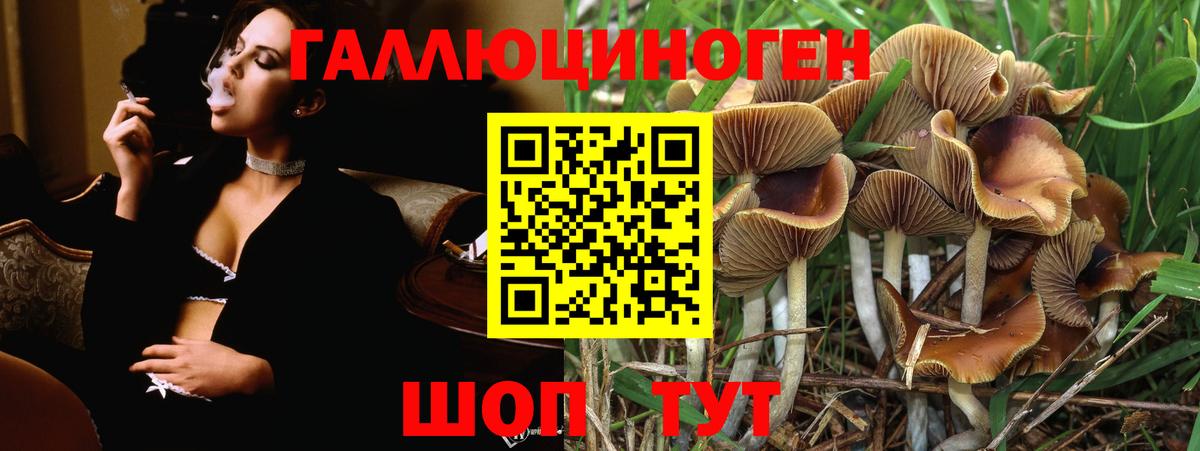 Галлюциногенные грибы MAGIC MUSHROOMS Воронеж