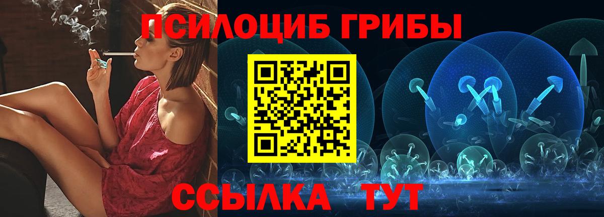 Галлюциногенные грибы Psilocybine cubensis Воронеж